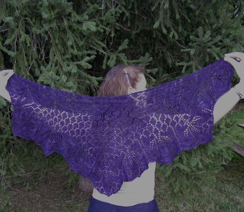 Orchid thief wingspan3