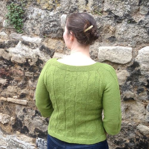 Dayspring Back Dayspring Back