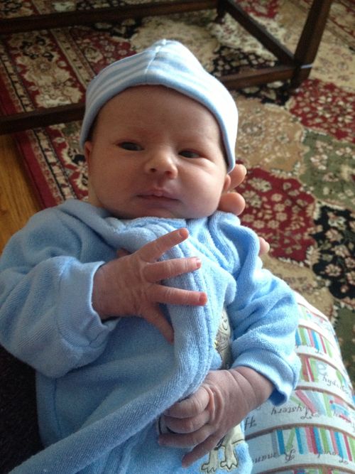 2-17-14 after bath 2-17-14 after bath