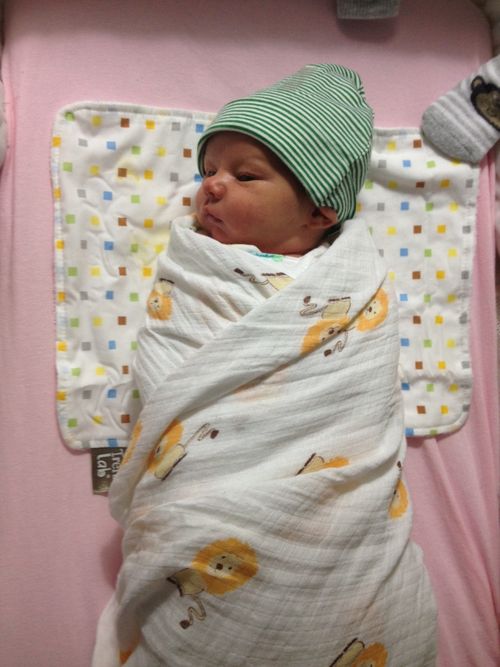 2-16-16 baby burrito 2-16-16 baby burrito