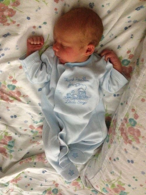 2-13-14 content after feeding 2-13-14 content after feeding