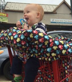 Shopping cart cover side