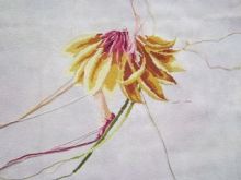 PetalFairy1-30-14 PetalFairy1-30-14