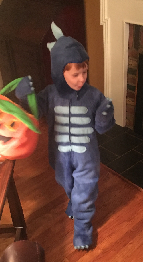 DinoCostumeFront DinoCostumeFront