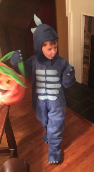 DinoCostumeFront DinoCostumeFront