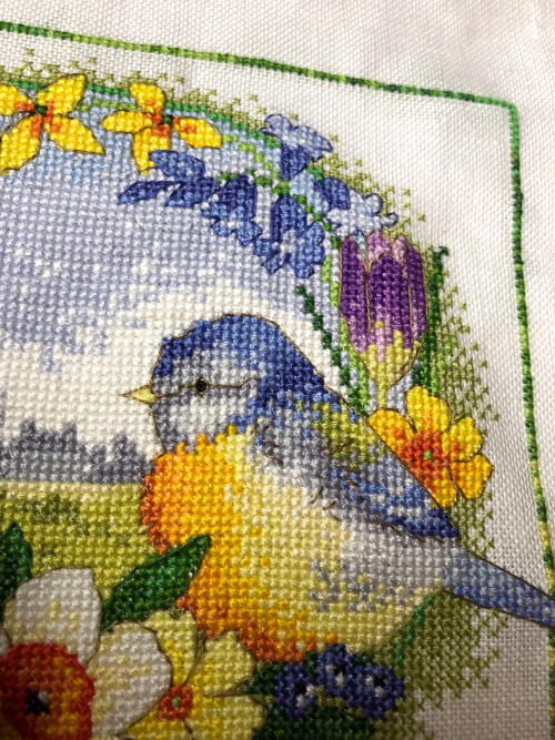 Bright&Beautiful HD- birddetail Bright&Beautiful HD- birddetail