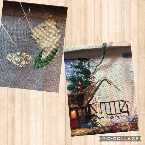 IMG_4692 2 IMG_4692 2