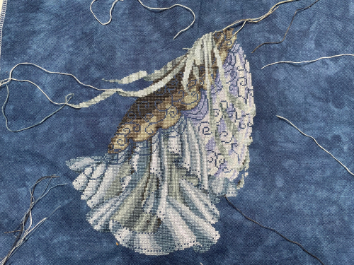 Stargazer WiP 5-31-21