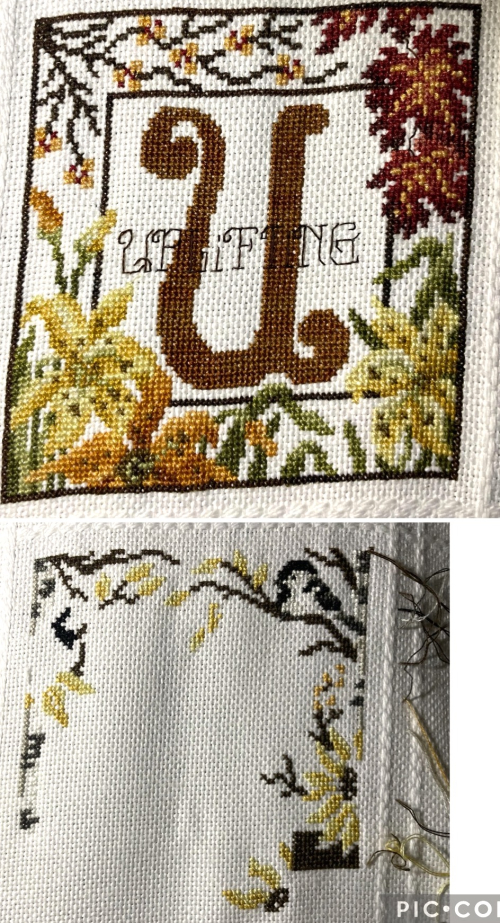 Autumn BP wip 9-30-22 Autumn BP wip 9-30-22